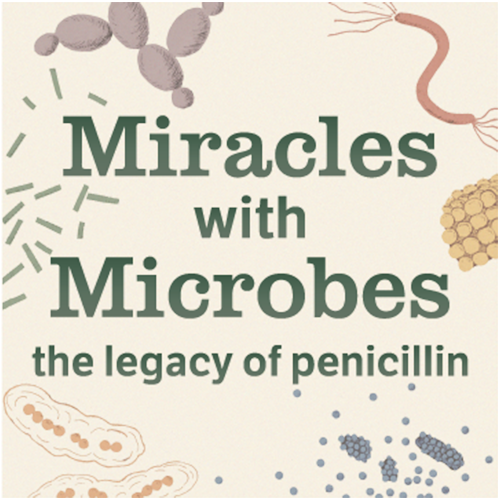 Miracles with Microbes: The Legacy of Penicillin and Beyond